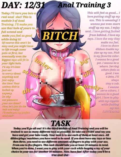 DAY: 12/31 Anal Training 3 (Today it's module 3 of anal training. I hope you're excited and have a lot of toys! My dms are open for those who wanna show them of~) by Chosen2Play