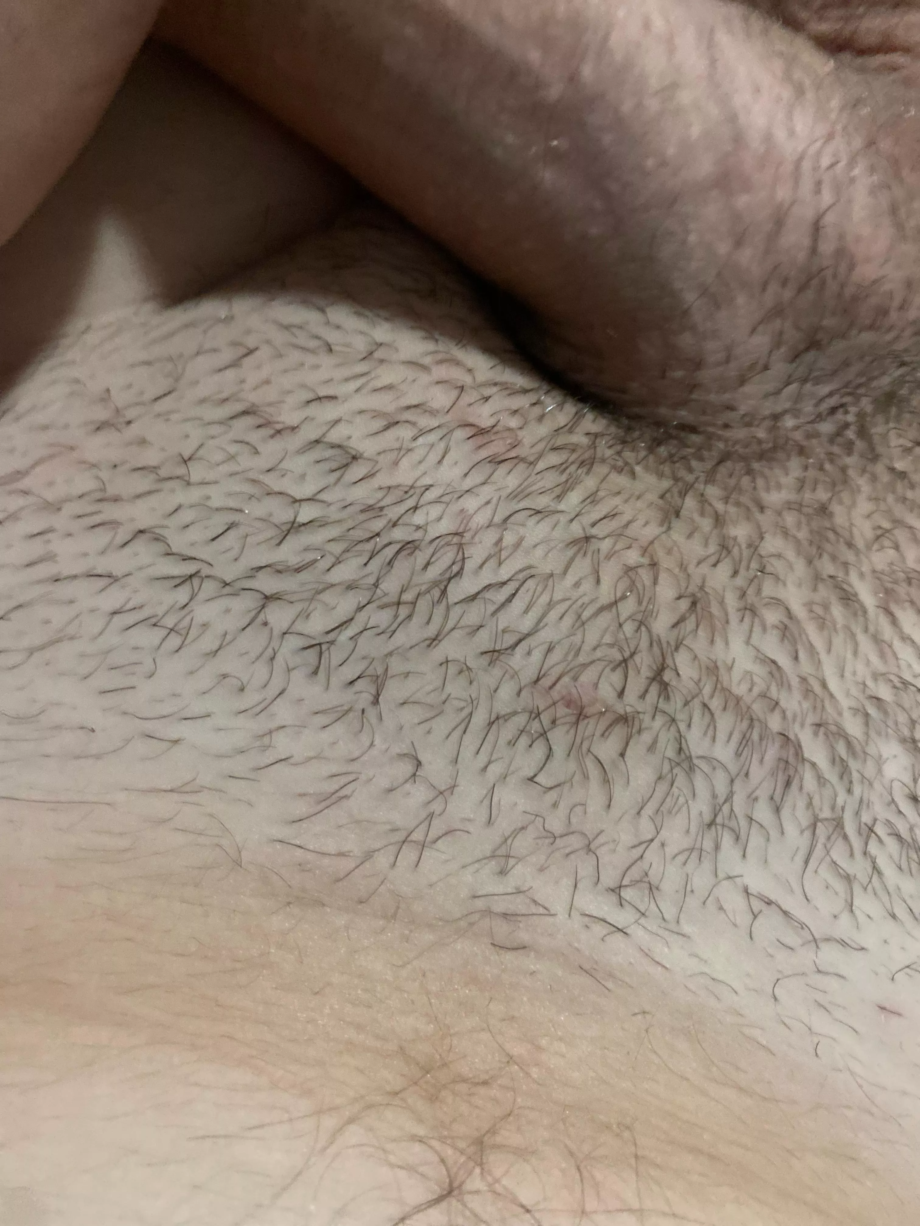 Dm free today 19 fit tradie posted by NefariousnessDry8148