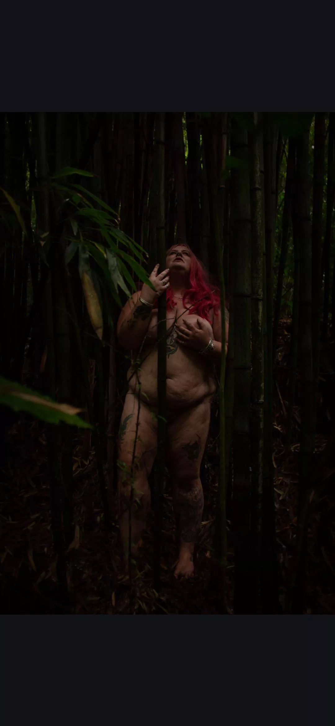 Enjoy some bamboo posted by Cindytyne_NZ