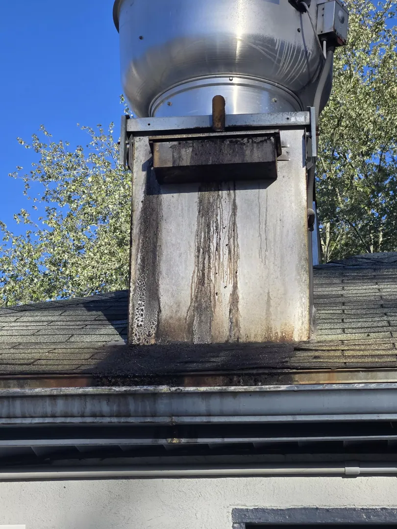 Exhaust fan leaking grease (oc) posted by Available-Pain-159