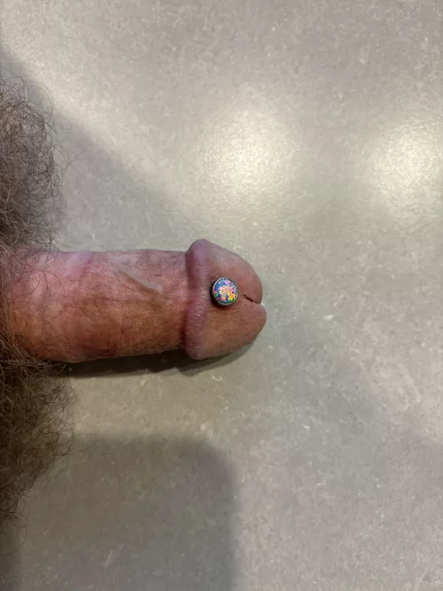 Halfadravya  by sweetbiscuit2004