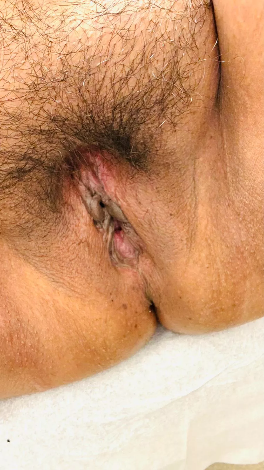 Her hairy pussy posted by TopEnthusiasm4338