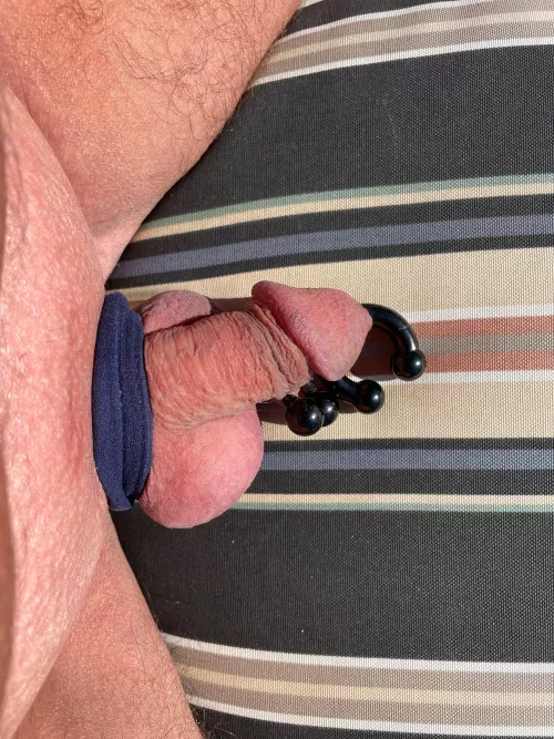 I am convinced. PA to APA is best by Artistic_State7914