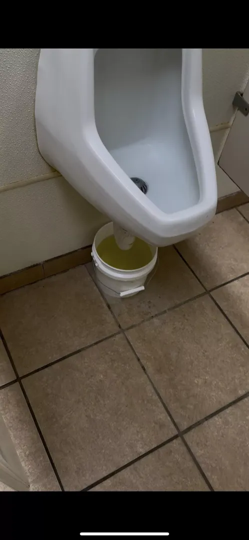 Local restaurant has a urine bucket under the urinal. It’s foul. by bluehangover