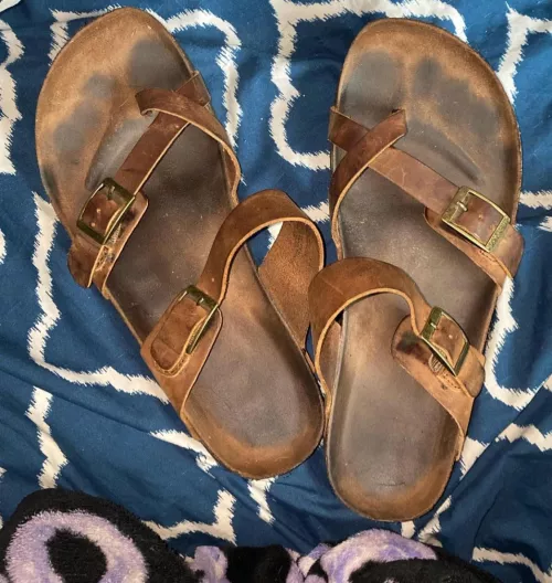 Love these Birks! But I do want a different color or style…  by No-Spray5127