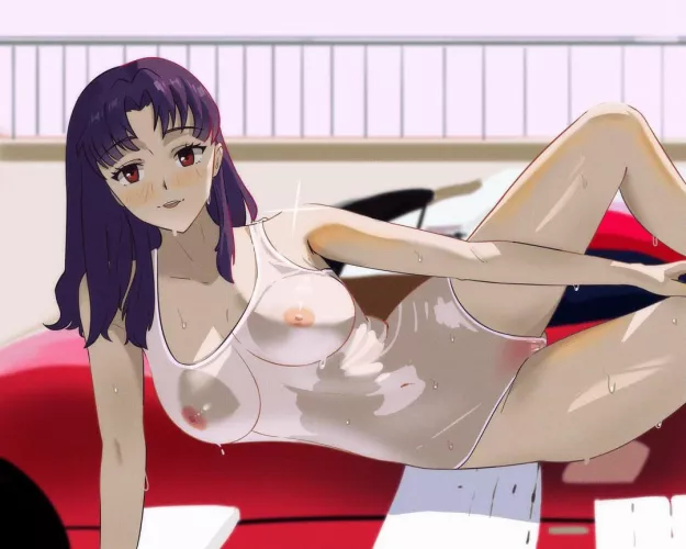 Model misato (aaD2DD)  by CircleSidedDie