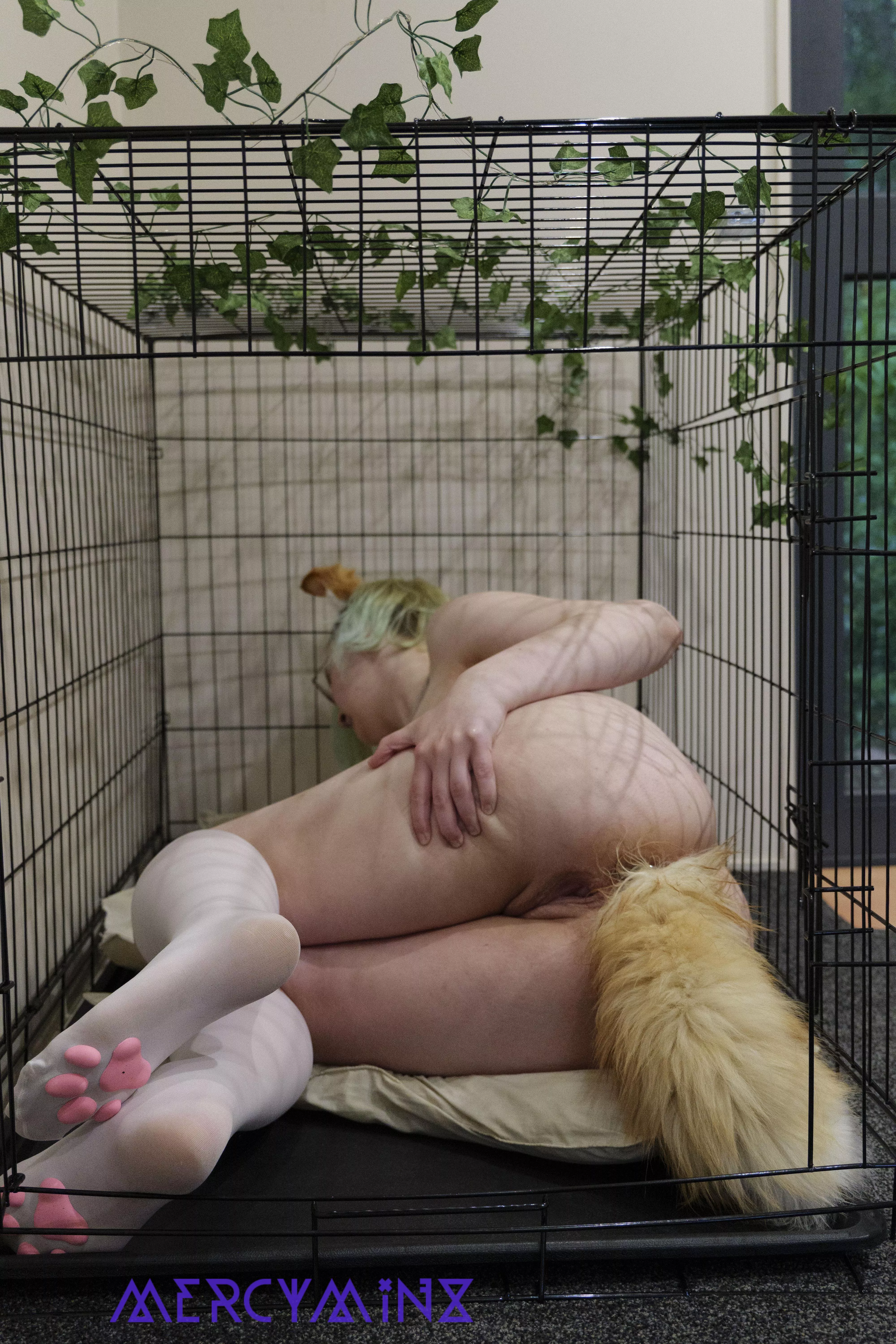 Pet likes to show off to try get out of cage time posted by Mercy_Minx