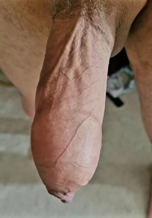 Pull it back and explore?  by Aware-Process1904