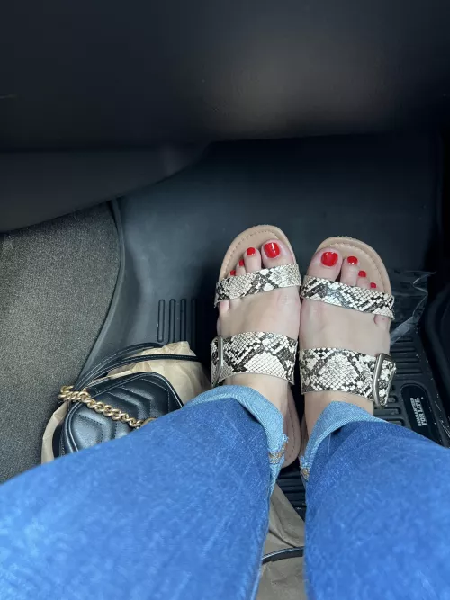 Red toes and faux snakeskin 🐍 by prettytoesss3