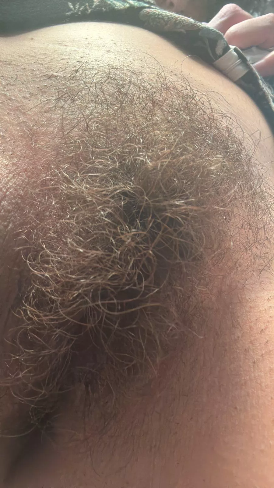 The garden needs watering posted by lickedyslit