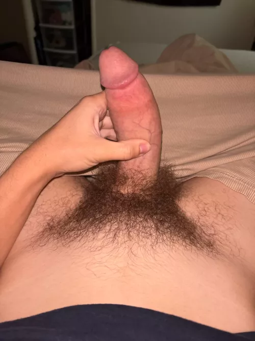 Thoughts on the bush? by jackhawkins67