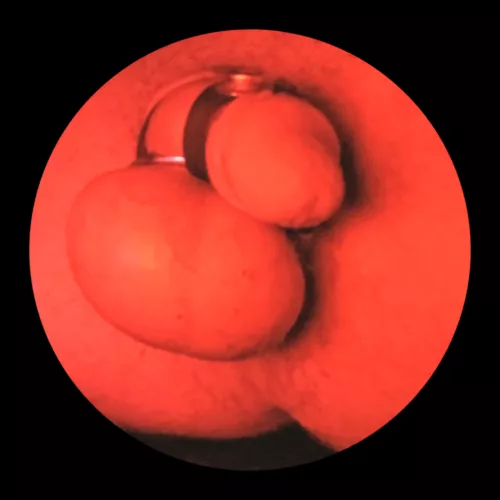 Very horny  by Spiritual-Knowledge9