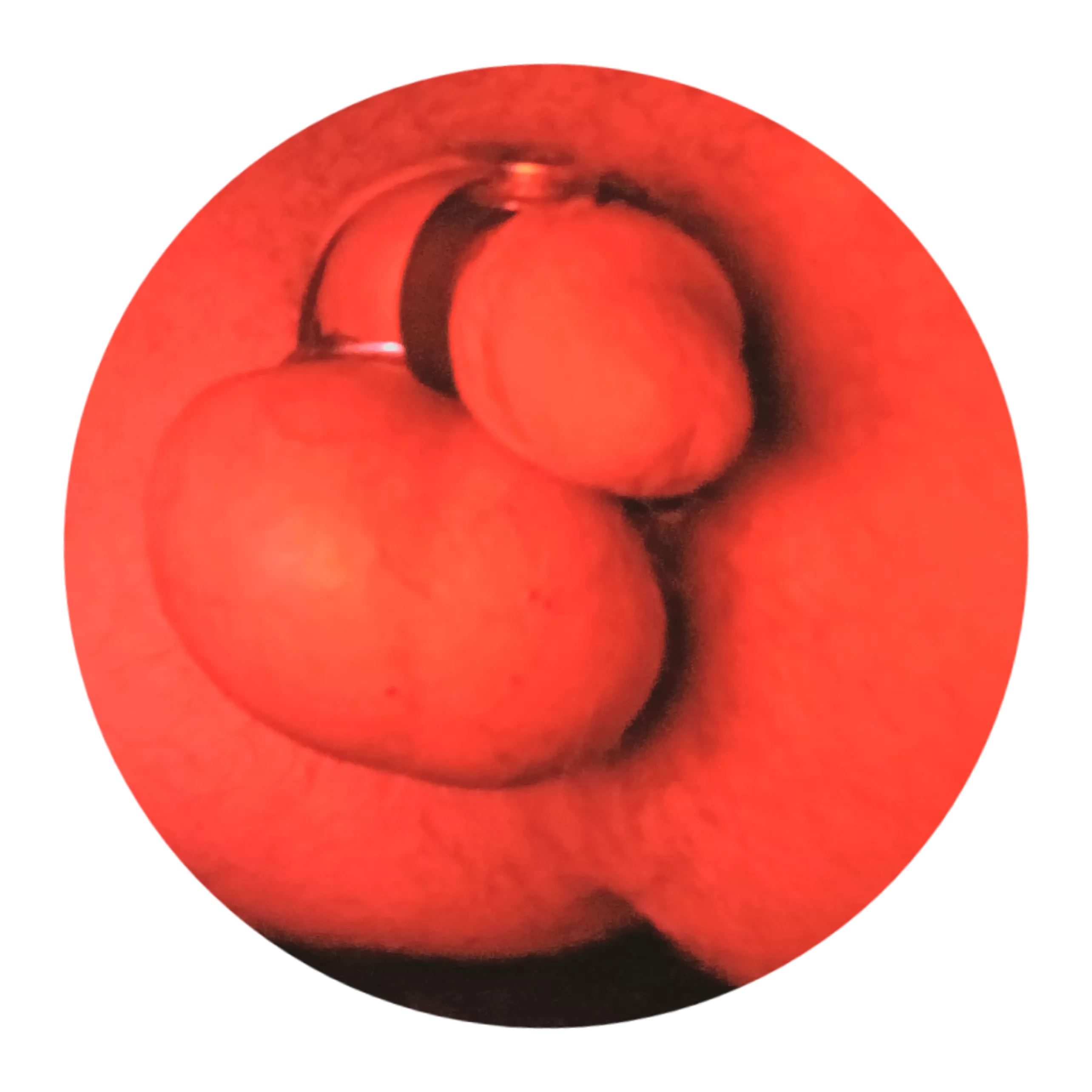 Very horny  posted by Spiritual-Knowledge9