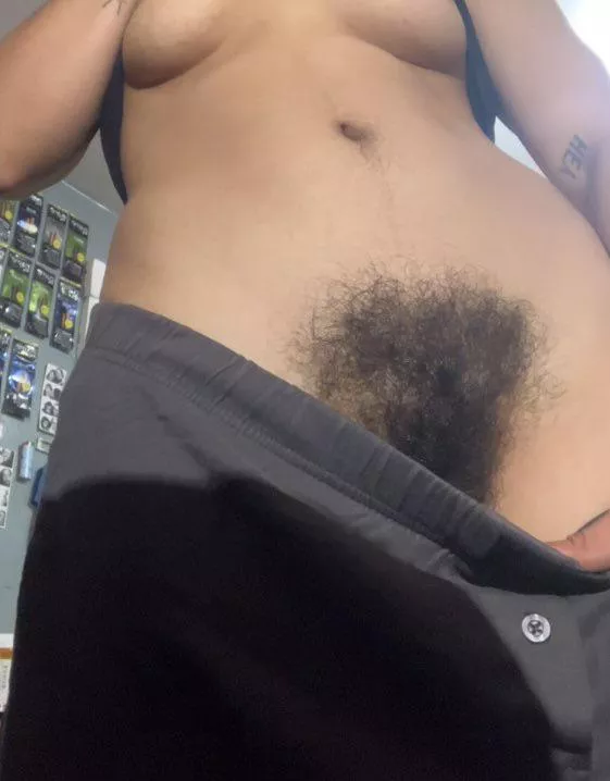 where are the bush fans at? posted by Safe_Maintenance3099