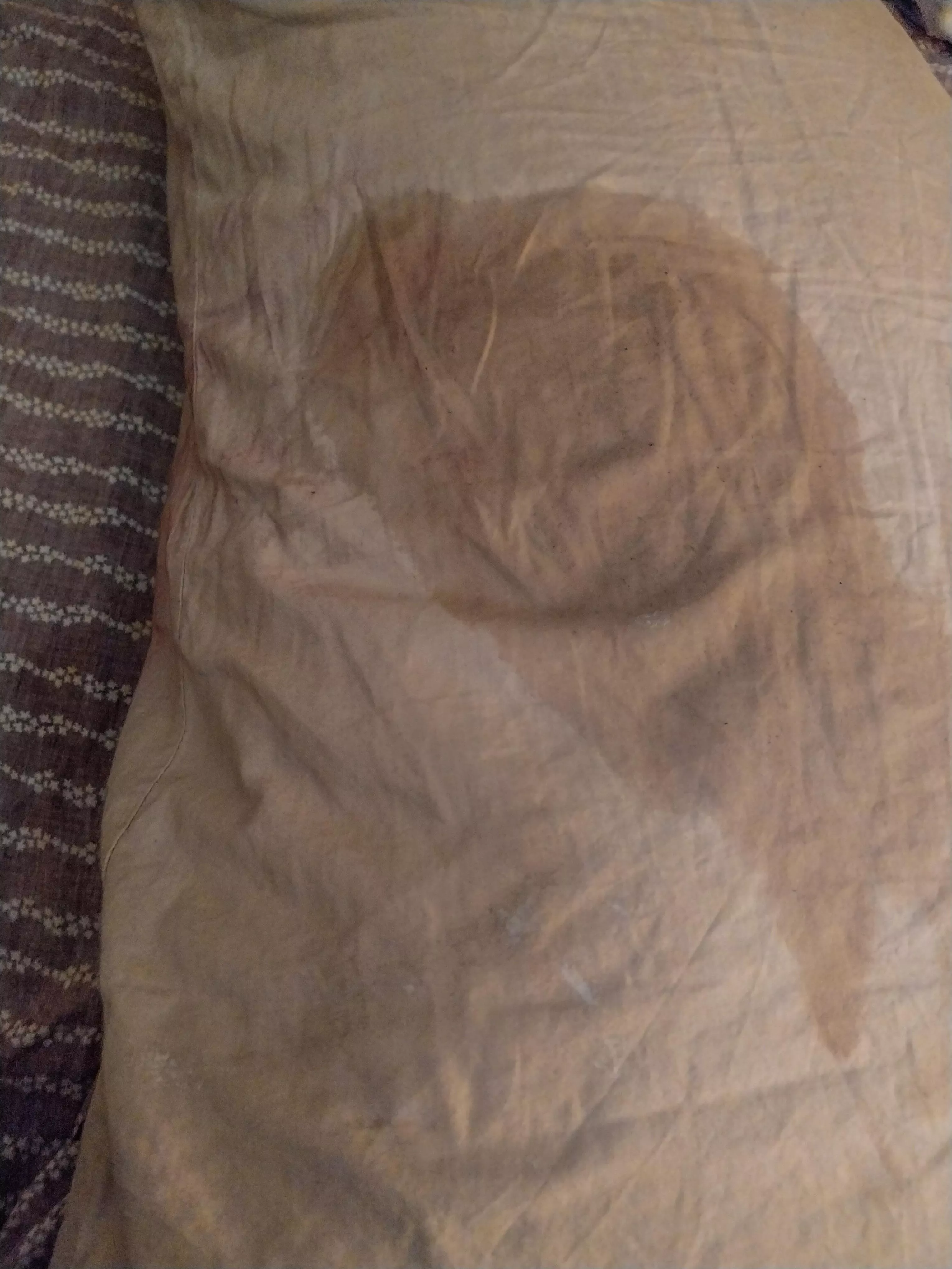 Being turned on by older perverts and humping my dad's pillow  posted by DaddysSophiaandBear