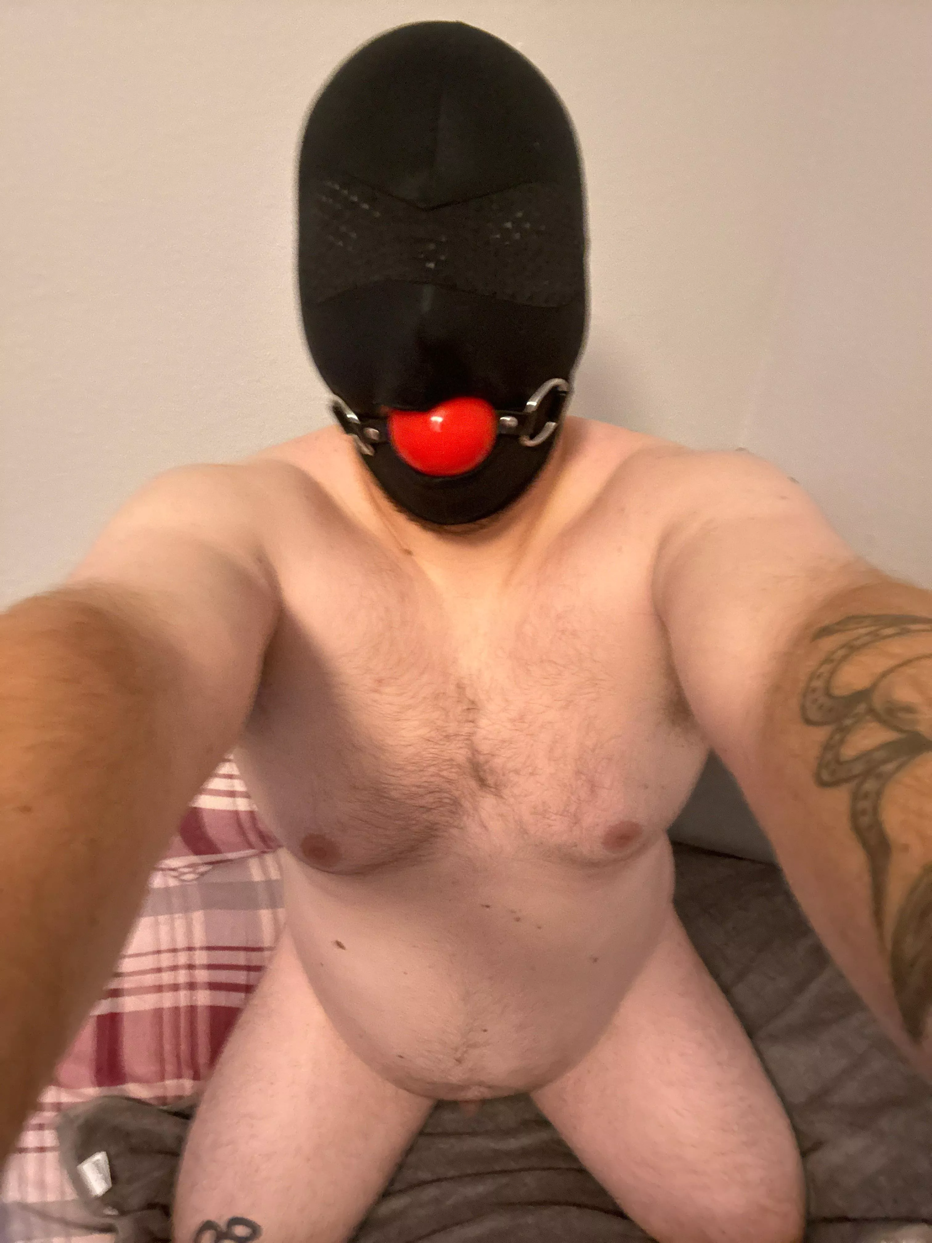 Good boy posted by SatinTeddyBear