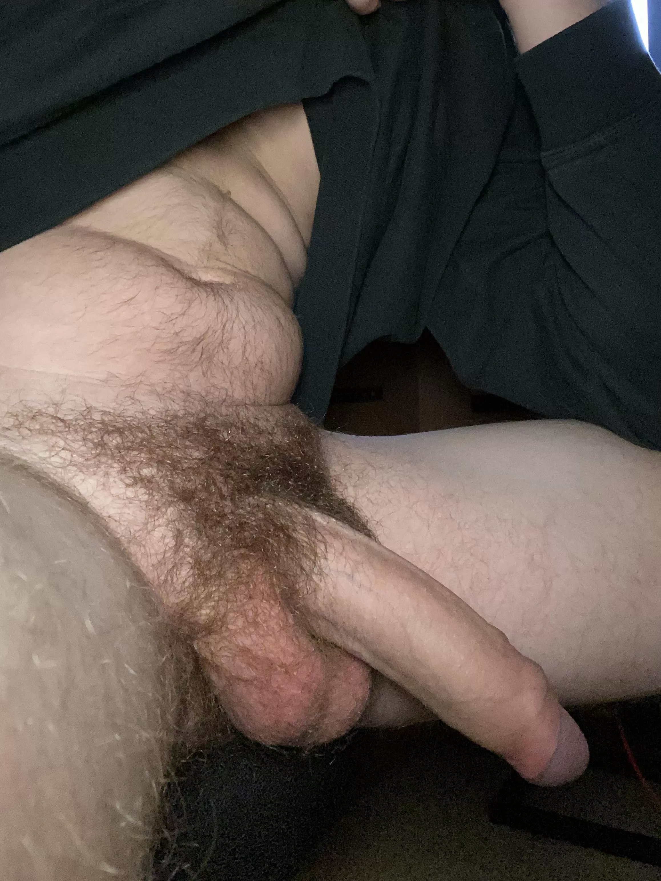 I hope you like my bush (25) posted by shy_and_hung