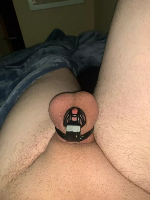 Just found out I’m going to be locked for over a year. I cried a little.  by permapixelation