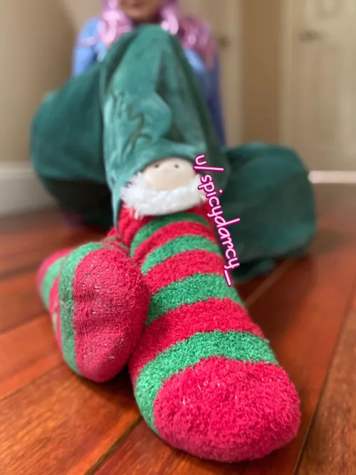 My lil fuzzy friends by Spicydarcy_