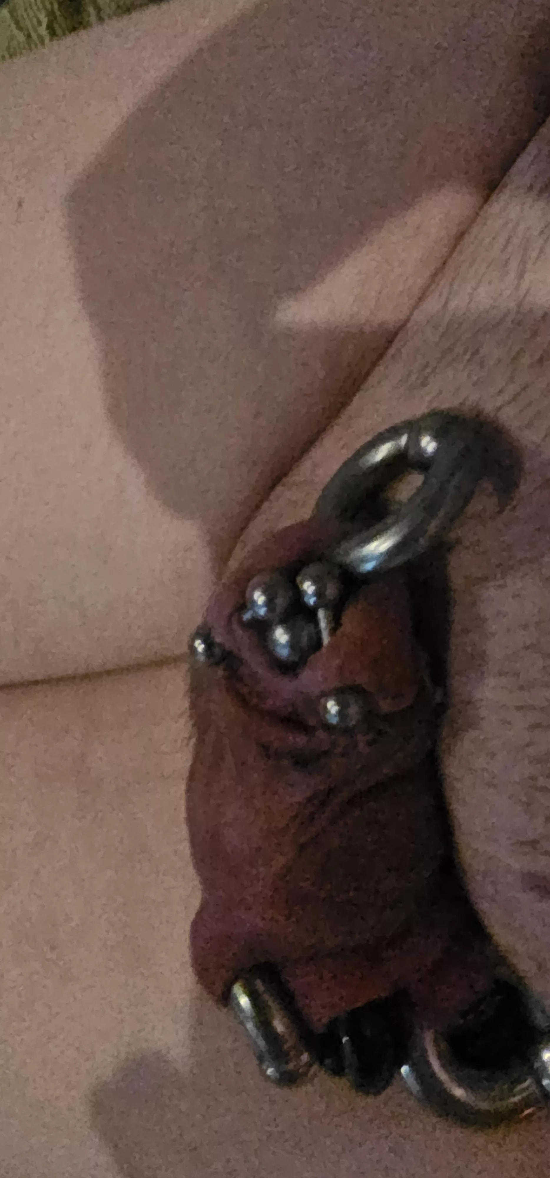 Need a dolphin piercing now posted by bjrod68