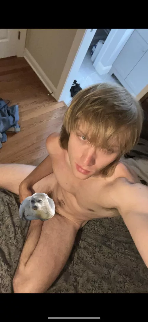 Need cuddles  by InTheForestAgain