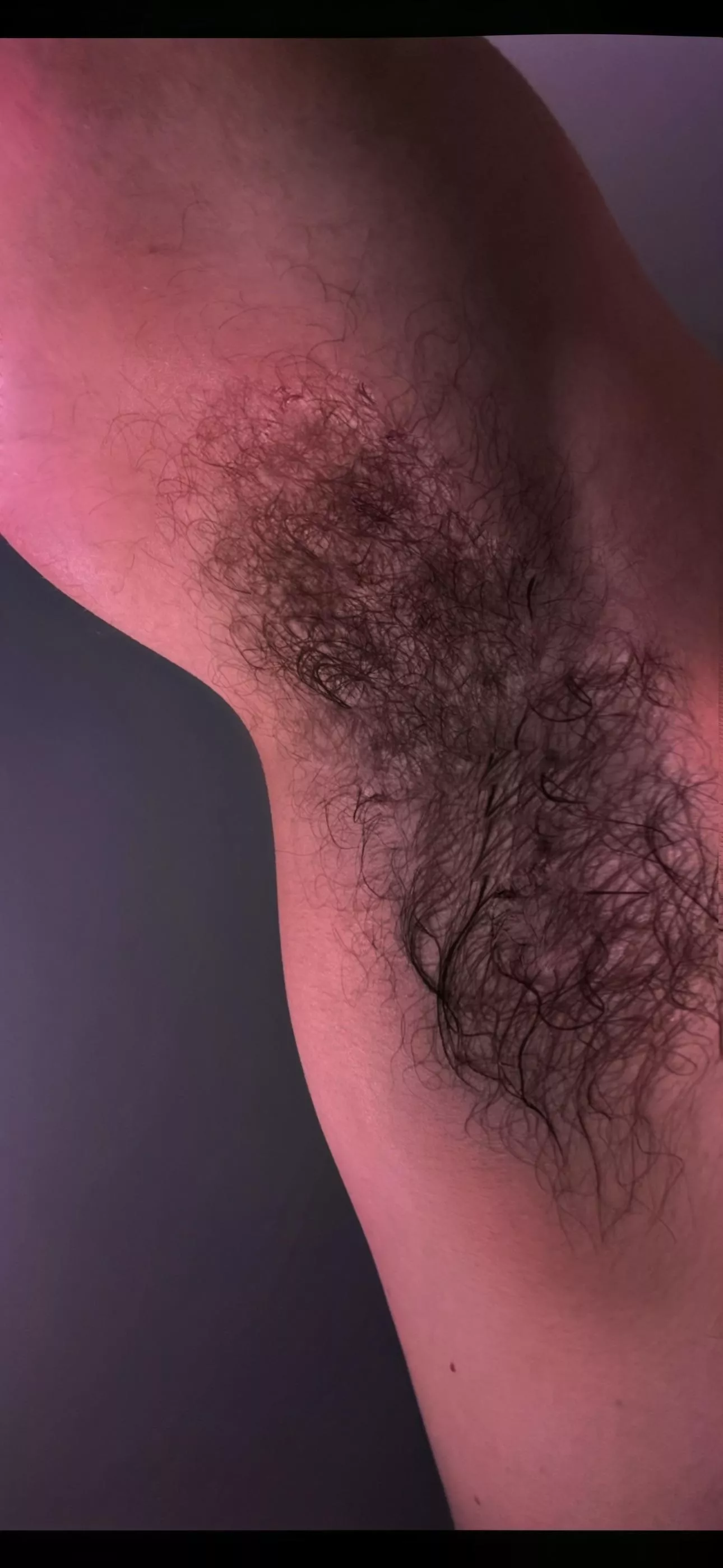 PIT ZOOM  posted by armpitwoll