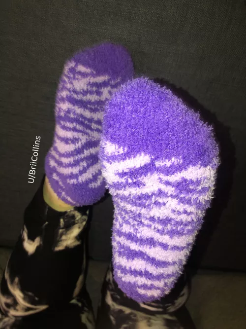 Purple softness 💜 by BriiCollins