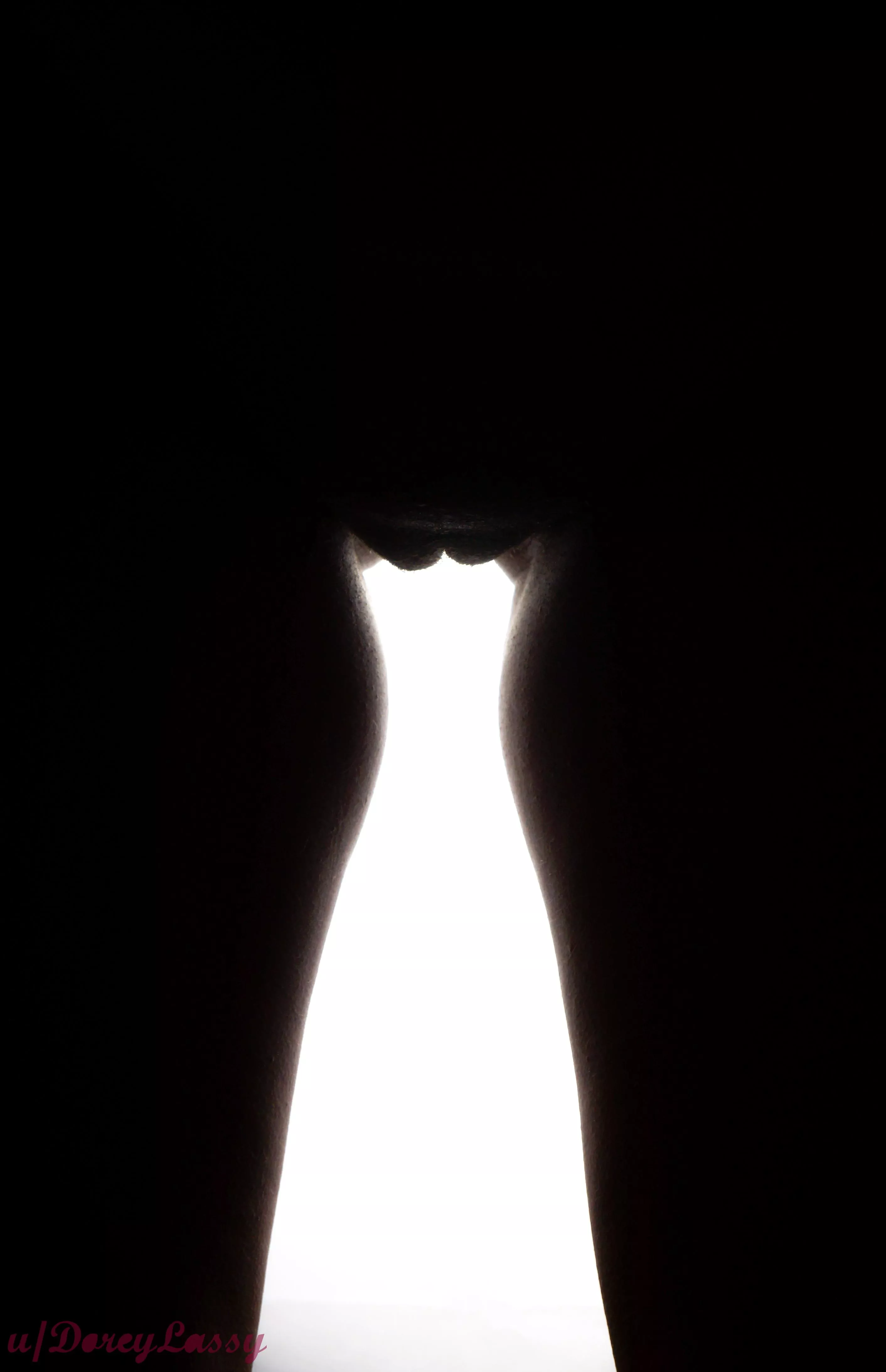 Pussy light... posted by Doreylassy