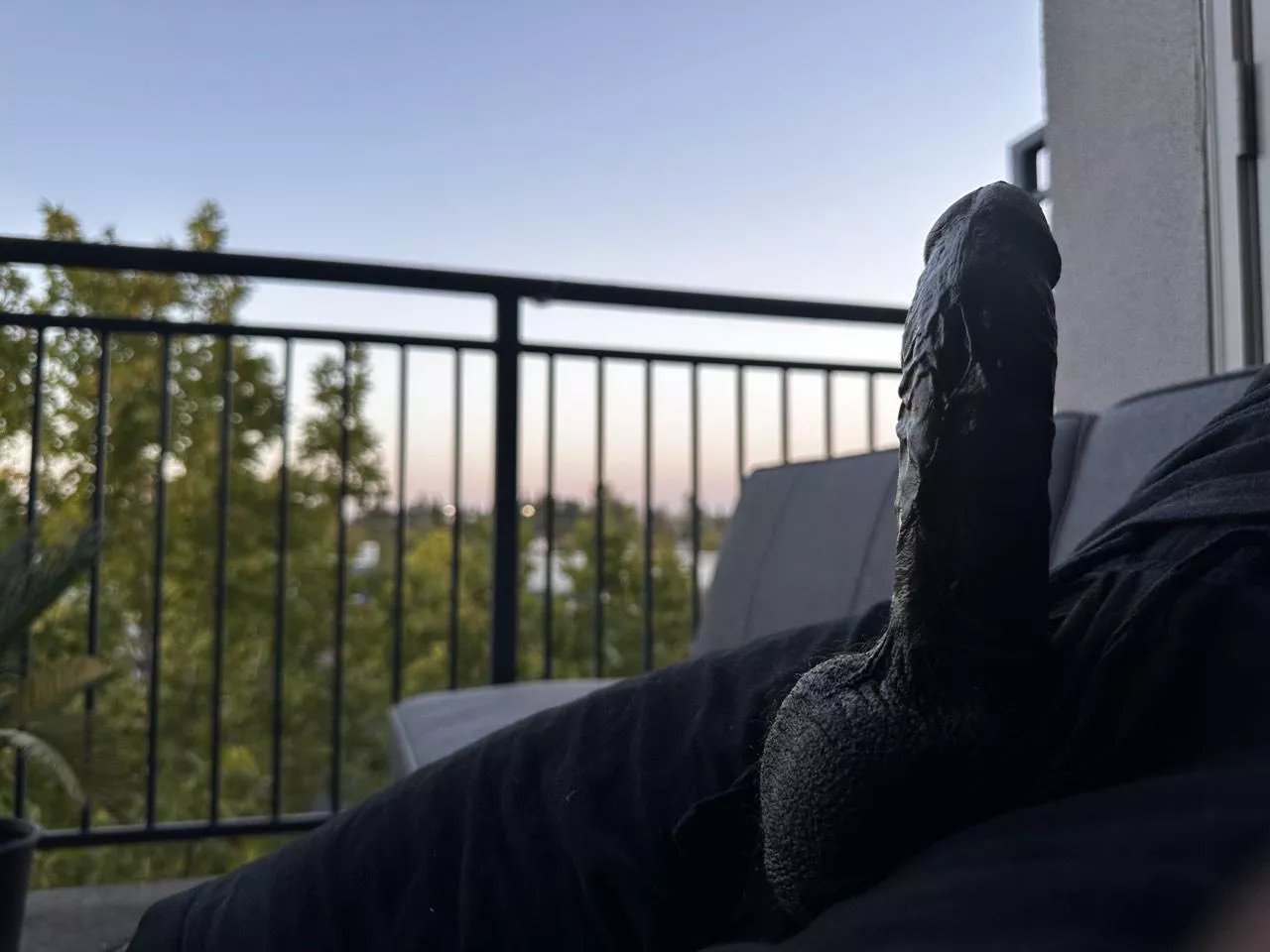 🌅 suns going down but not me ;) posted by IndecentDisclosure9