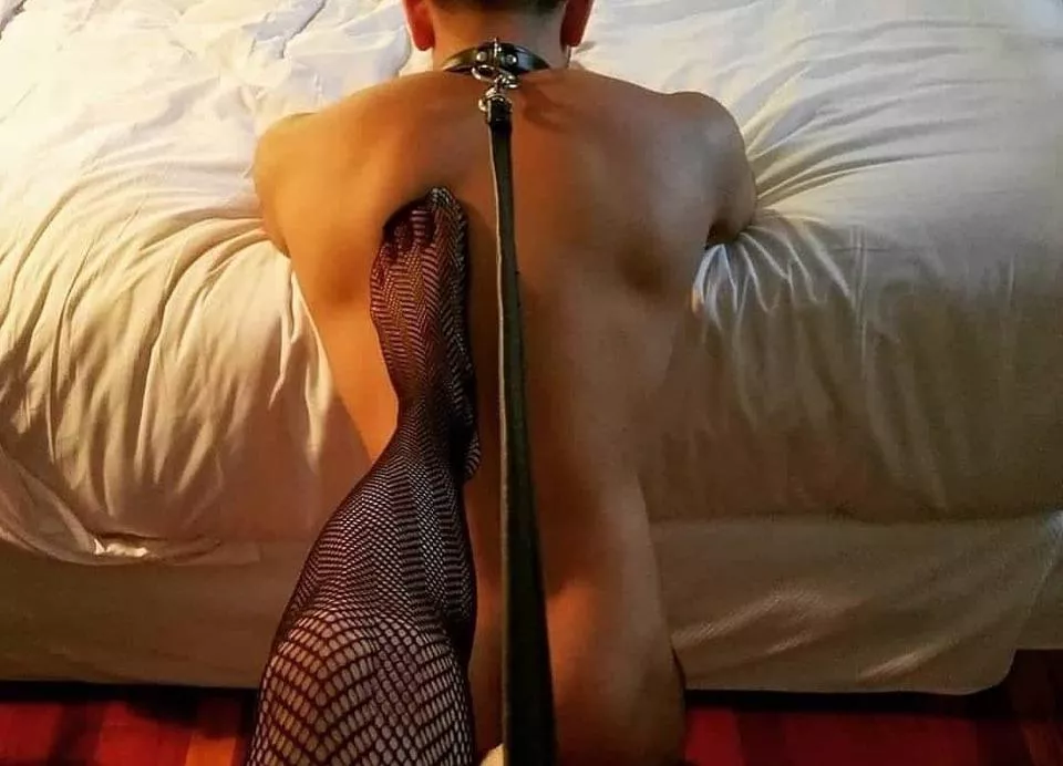 The collar is our most symbolic prop.  I added a leash recently and it's been lovely fun. posted by SurfFly