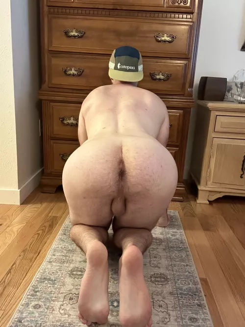 What do you think? Want to use me?  by aiden-ryder