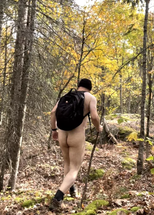 A lovely autumn hike by AtmosphereFragrant48