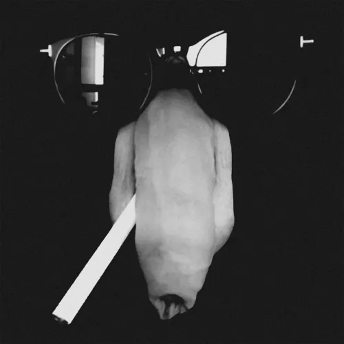 Always keep your cool by LPeroticphotography