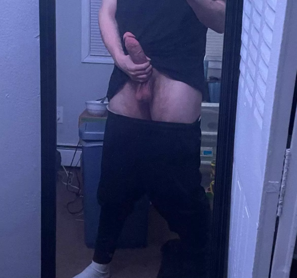 Any couples want a young bull? posted by Invalid-Affairs