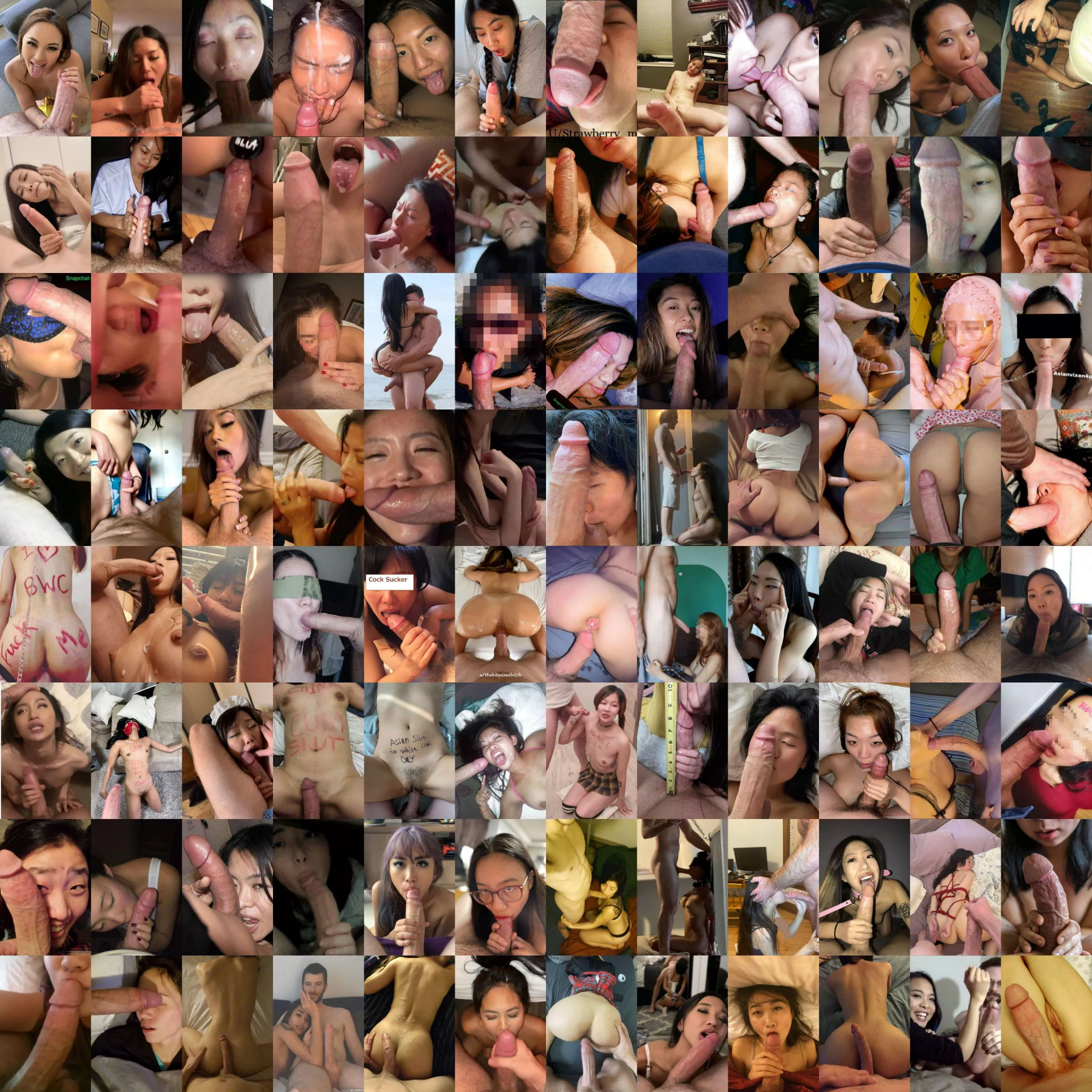 Asian girls and BWC are all over the internet! posted by Intelligent-Map-264