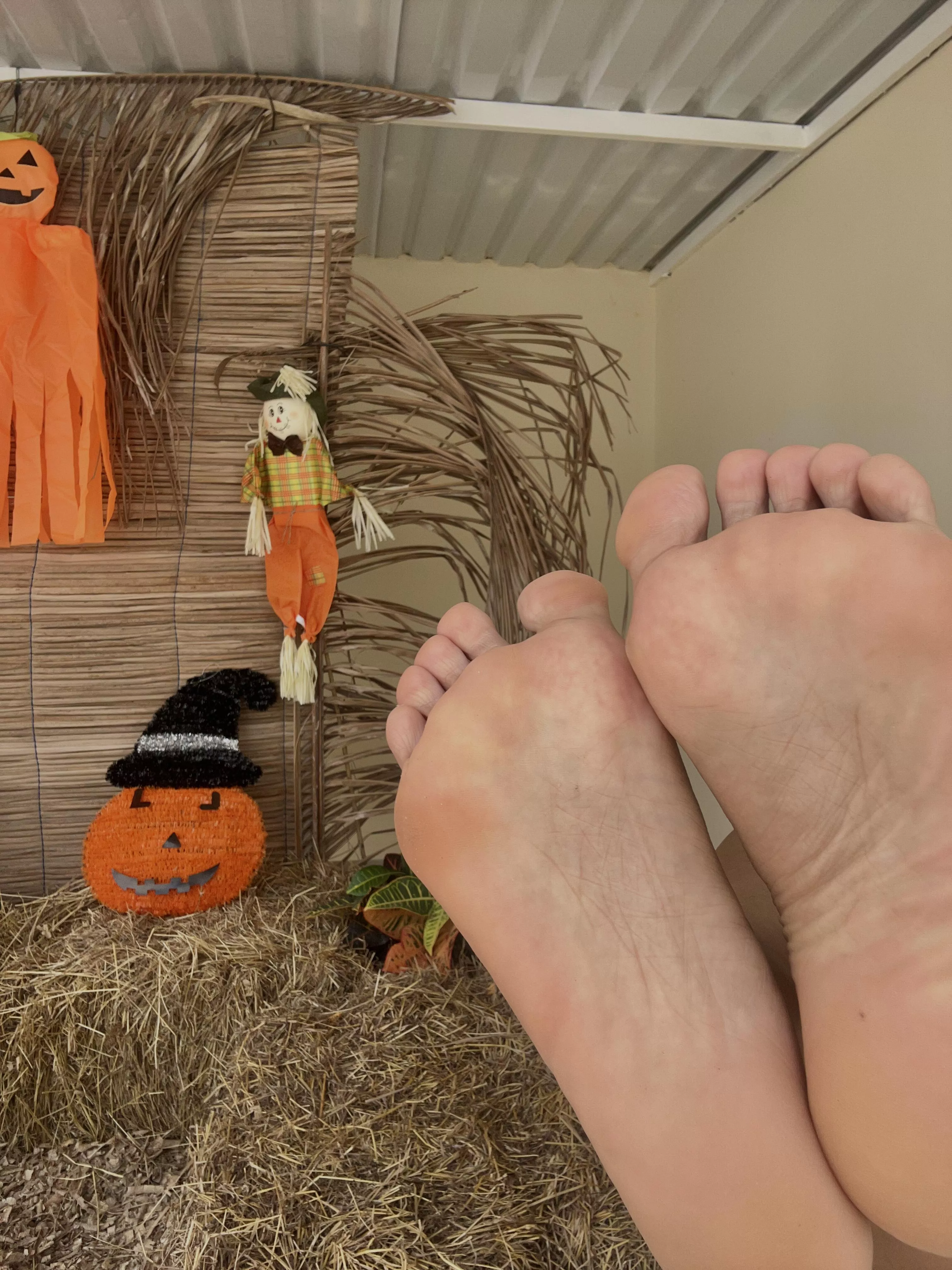 Can you like to lick my feet on the first date? posted by TanjaWillink