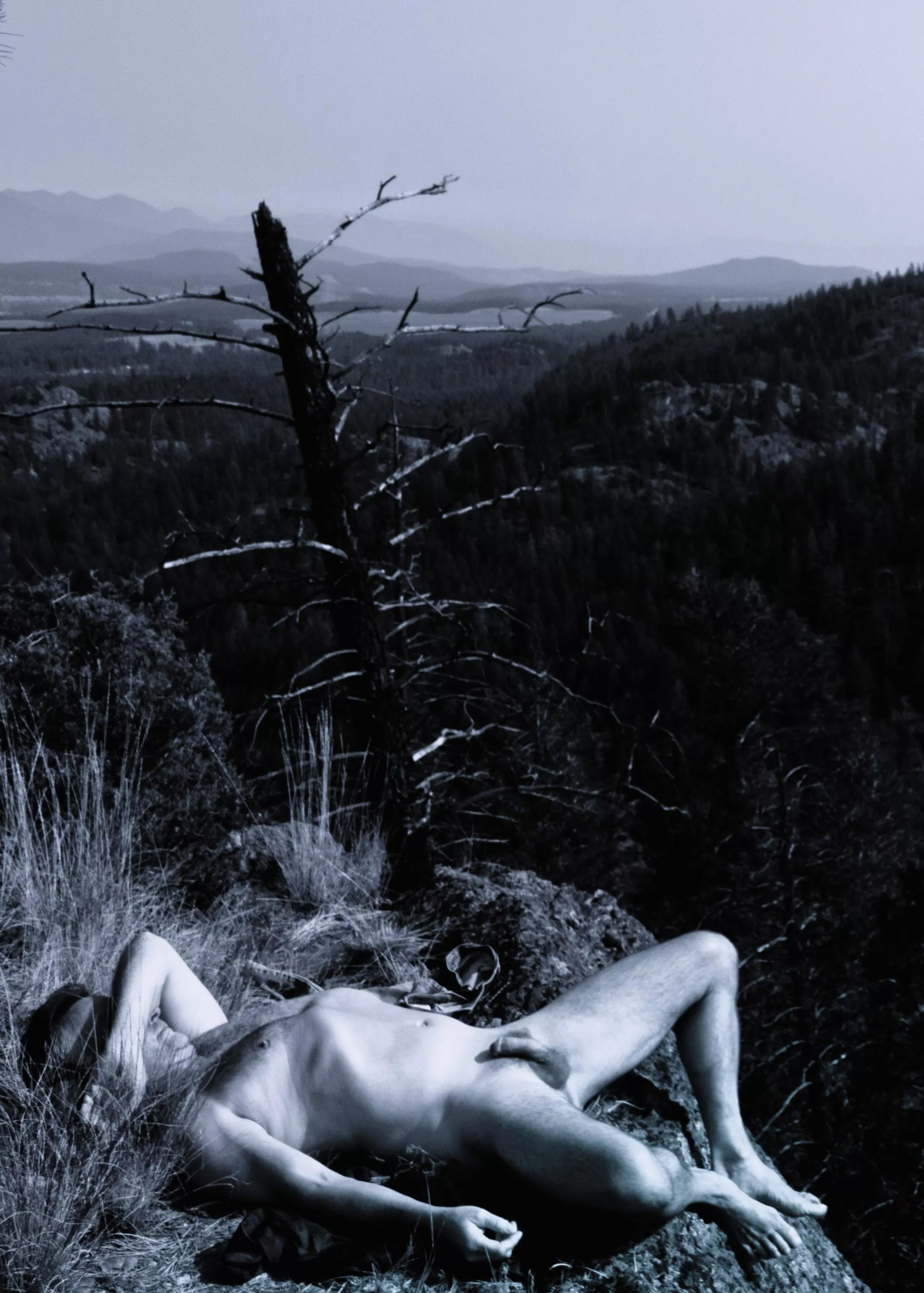 caught resting at the top after a long walk posted by littlePeter6969