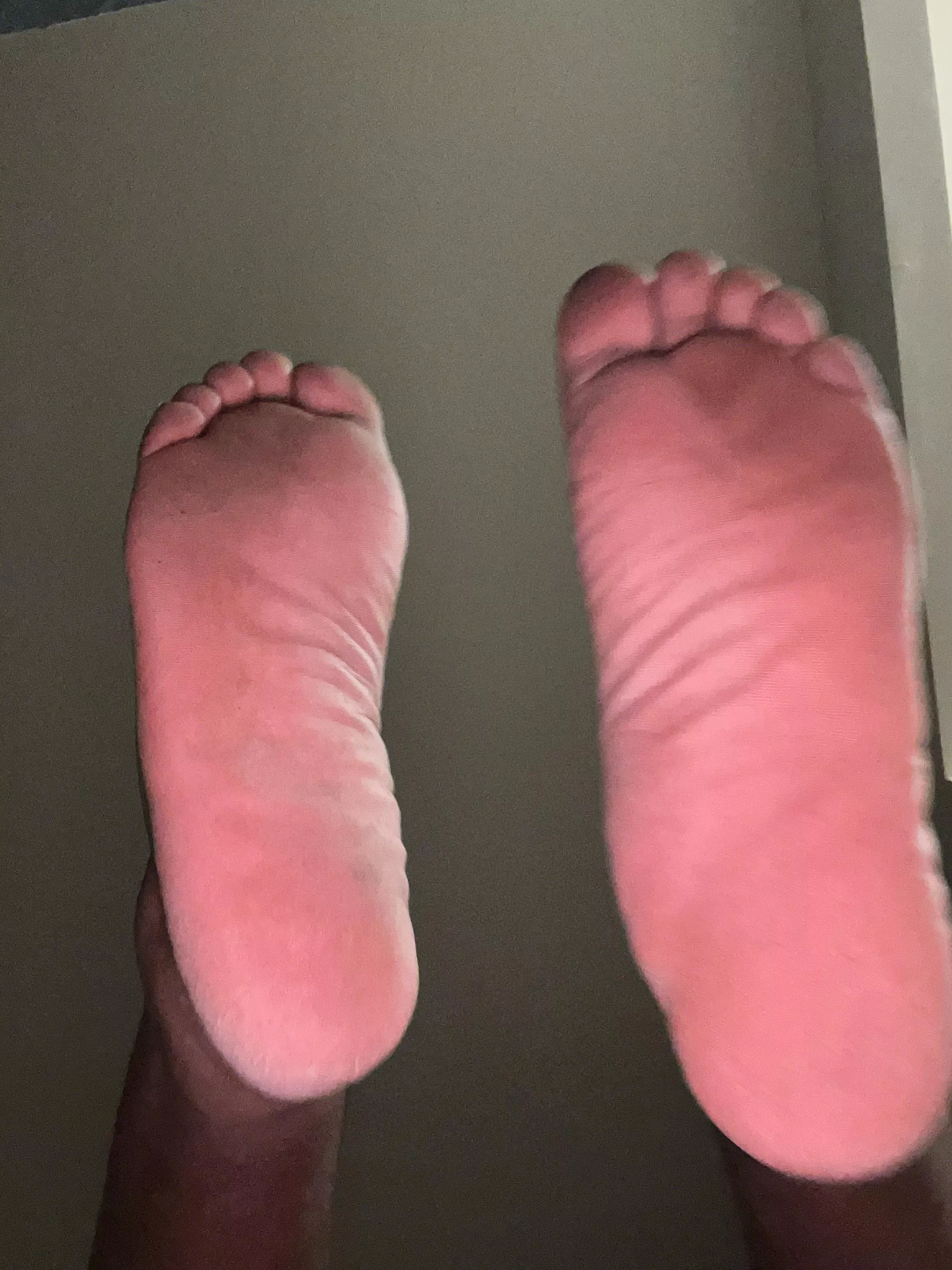 Eat up pups this is your only dinner  posted by KinkCupcake