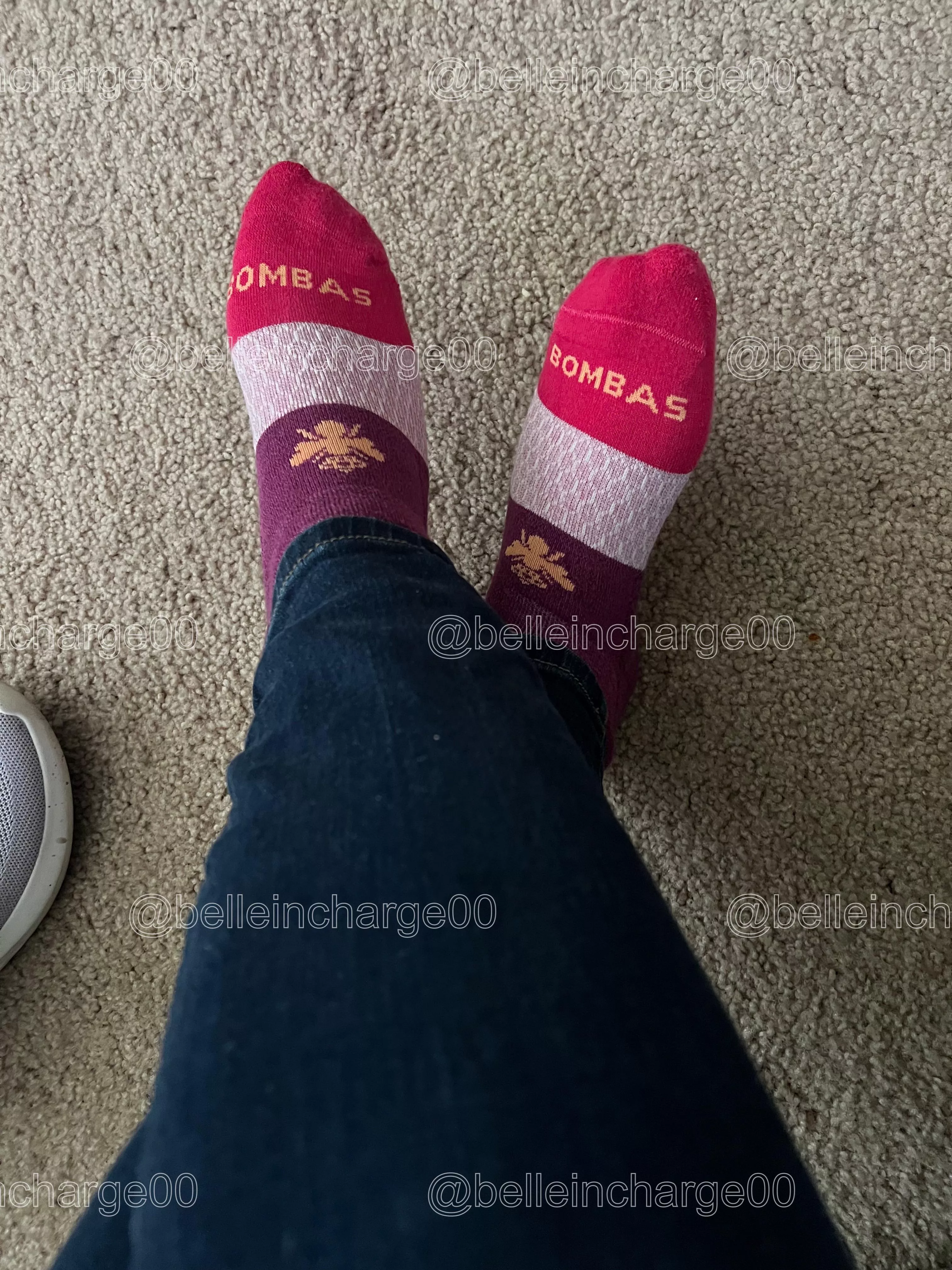 Good morning pups, Princess would love her morning Dr Pepper. 👑 posted by belleincharge00