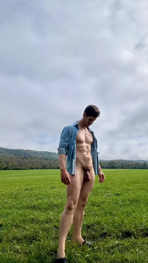 Greener pastures by Draconblue