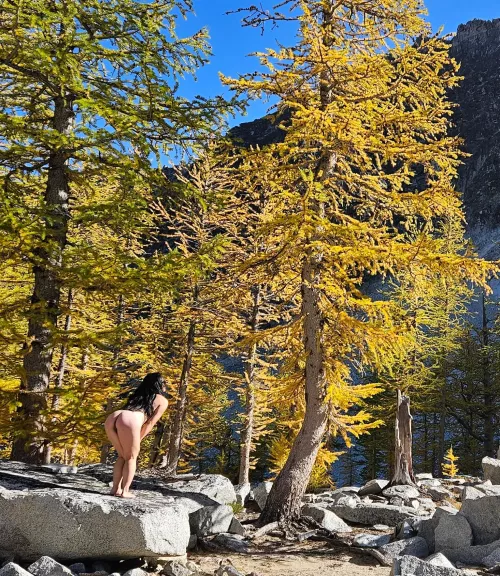 Just getting a closer look at these larches! by jellie_creamed