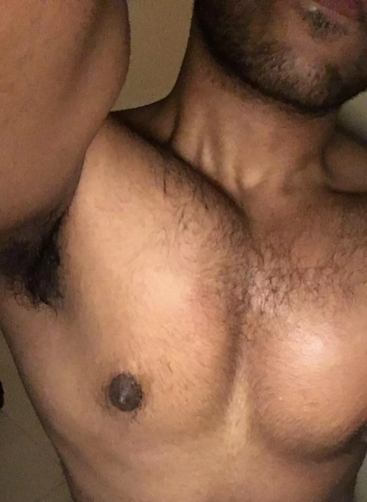 like it hairy? posted by the_dave1