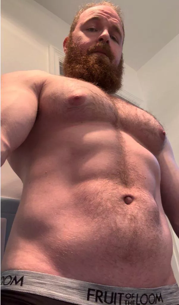 Looming over you posted by pec_inspector