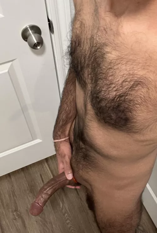 M26 4F/FM north atx bull  by throwaway2356885