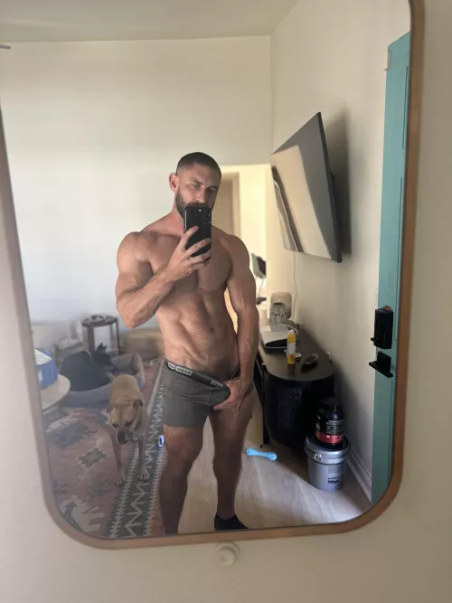 My dog likes to be included  by onlygainzsteve