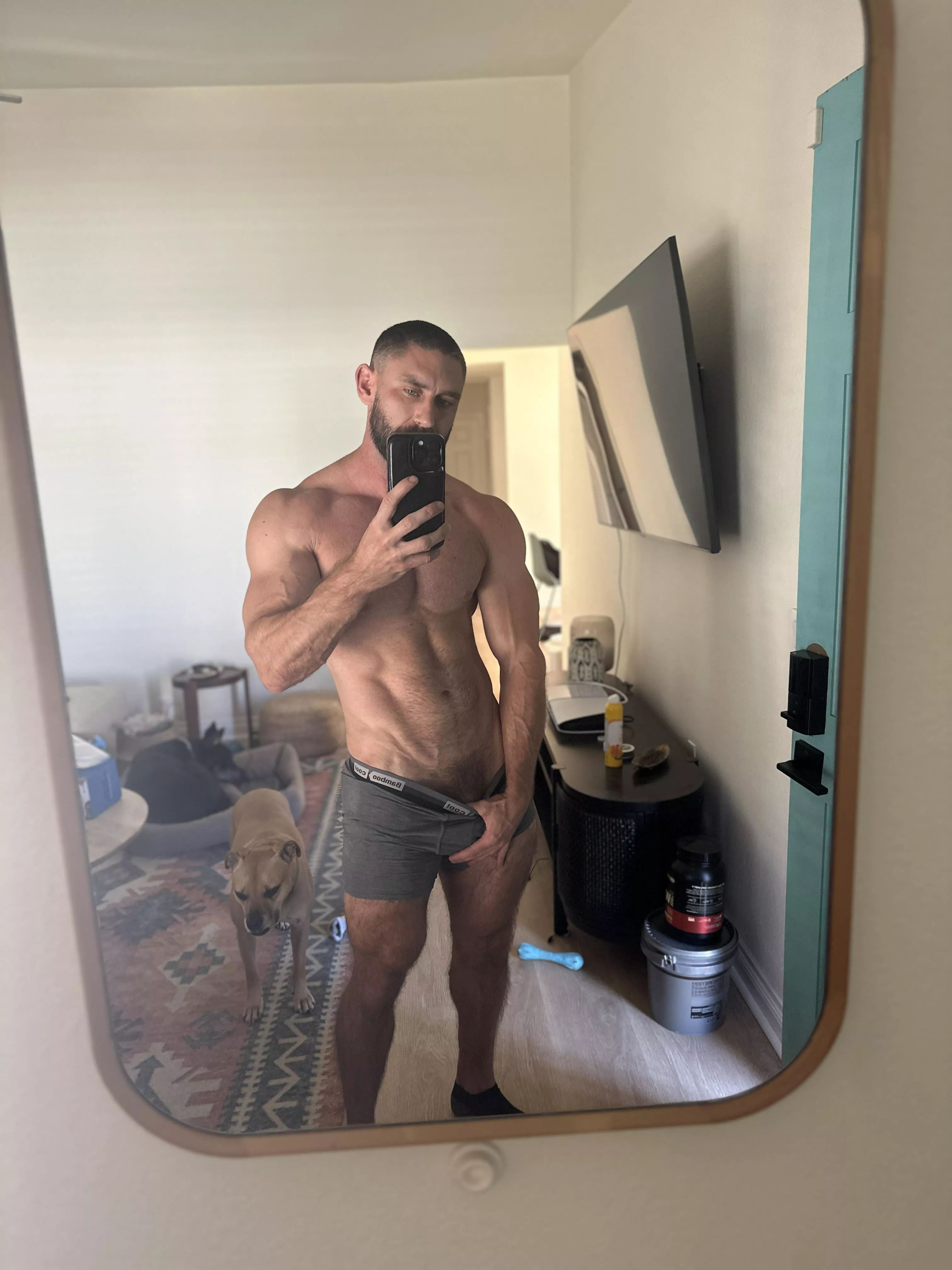 My dog likes to be included  posted by onlygainzsteve