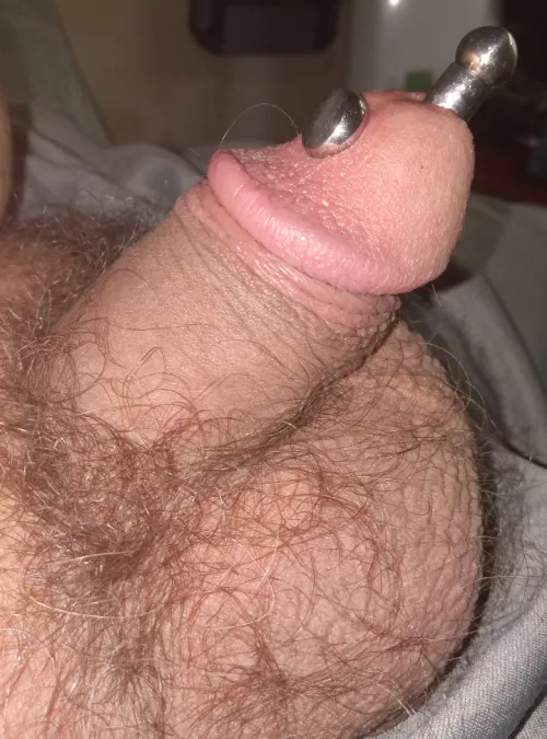 Prince albert wand in my apydravya  by add103