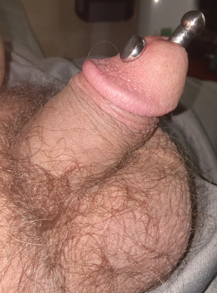 Prince albert wand in my apydravya  posted by add103