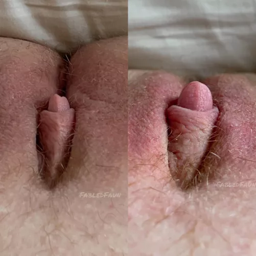 Soft —> Hard by FabledFaun