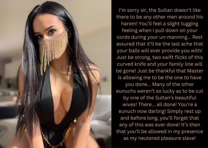 The sultan's orders! by Neutermenow